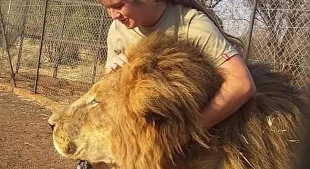 Leoni uccidono la giovane custode di una riserva di caccia in Sudafrica