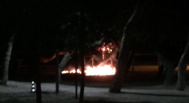 Porto Sant'Elpidio, un passante salva la pineta: incendio spento sul nascere