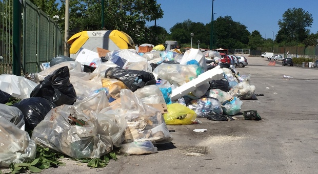 Napoli, montagne di rifiuti in strada e cittadini preoccupati: «Siamo invasi dai topi»
