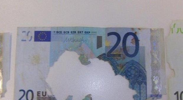 Topo rosicchia le banconote della pensione: Banca d'Italia restituirà i soldi alla signora