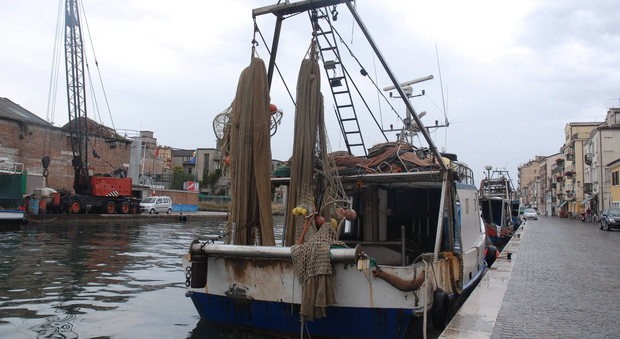 Pesce fresco addio: per 43 giorni non si potrà più pescare in Adriatico