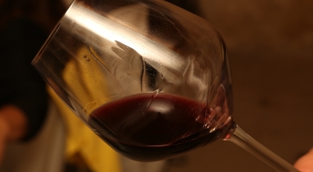 Sorrento, degustazioni e show per gli Incontri di vini e sapori campani