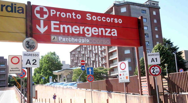 Febbre del Nilo, morto un uomo di 58 anni a Udine: è la terza vittima in Friuli