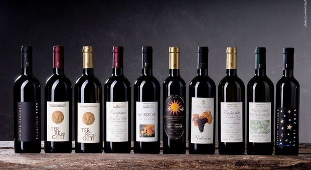 Cresce la qualità dei vini regionali ecco i tre bicchieri del Gambero Rosso