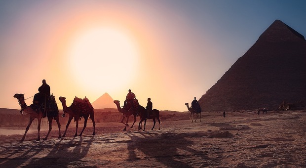 Egitto & Africa, il secondo volume di viaggi con Il Gazzettino - Foto di Simon Berger da Pixabay
