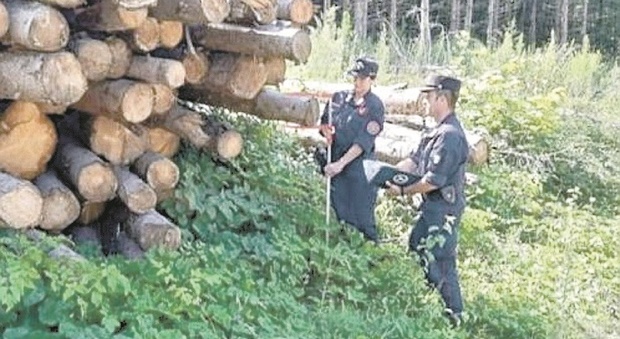 Comunanza, rifiuti abbandonati nel bosco e alberi tagliati abusivamente: raffica di denunce e multe per migliaia di euro
