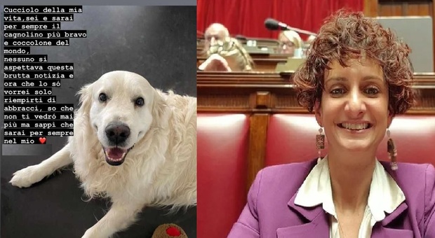 Il golden retriever morto e la deputata Eliana Longi