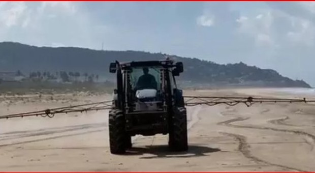 Disinfettano la spiaggia spagnola con la candeggina. La denuncia degli ambientalisti (immagine pubblicata da Puerto Rico Posts e Non solo Animali)