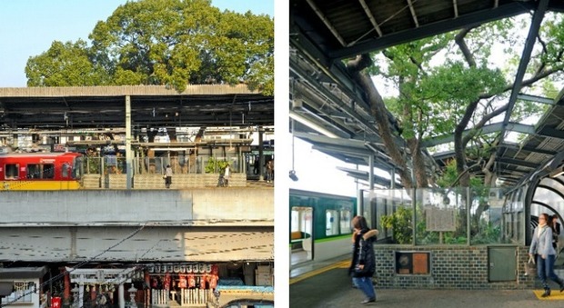 L'albero-stazione in Giappone