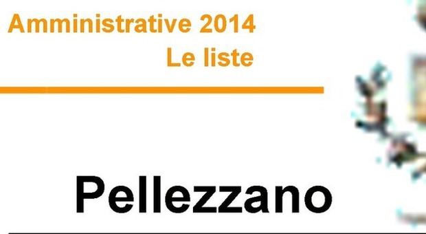 ​​​​​​Amministrative 2014 - Le liste PELLEZZANO