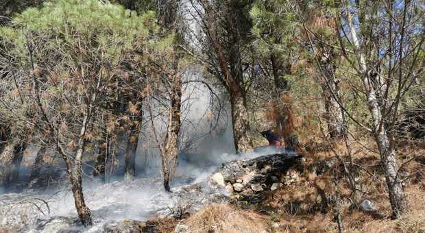 Ancora incendi in Irpinia, in fiamme la pineta Salmola di Avella