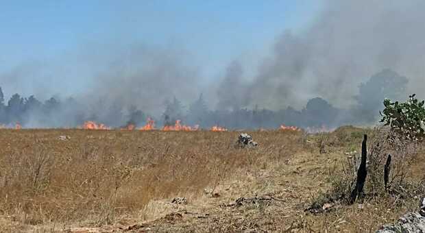 Il Salento continua a bruciare: incendi nell'entroterra e sul litorale
