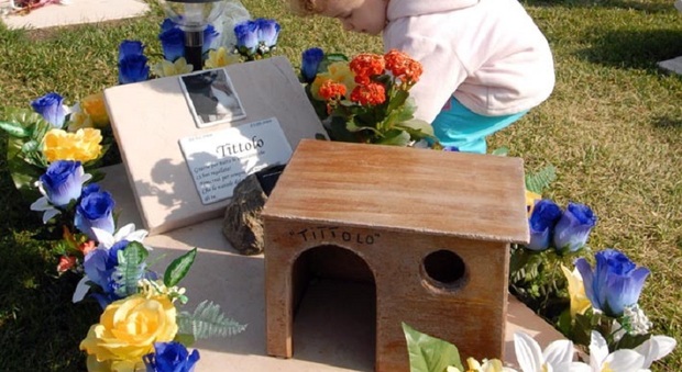 Dare una sepoltura rispettosa e legale agli animali domestici: la nuova proposta di legge presentata in Veneto