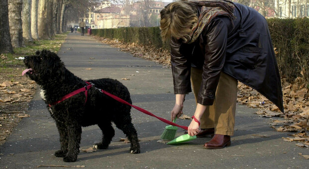Escrementi di cane tappezzano le strade, un'anziana rischia di scivolare: presa al volo da un ragazzo