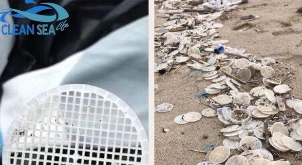 Dischetti di plastica invadono le spiagge tirreniche: da Capri alla Toscana. Sembrano cialde di caffè, ma non lo sono