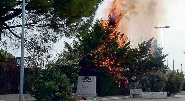 Incendio all'ex centro sportivo Diamond di Corato. La rabbia dei residenti per il degrado