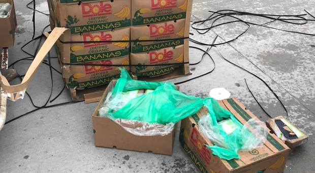 La polizia riceve 45 scatole di banane in regalo: ma all'interno c'era cocaina