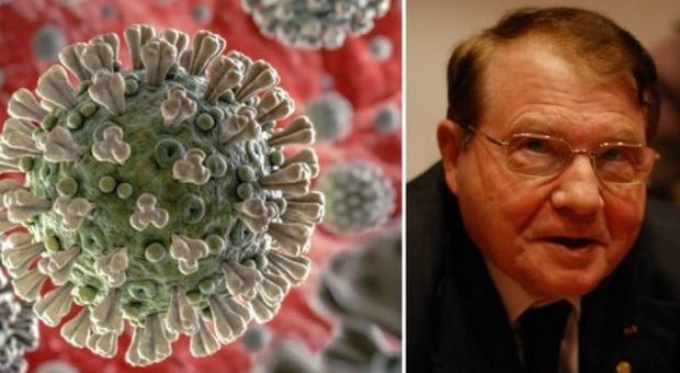 Diecimila scienziati contro il Nobel Montagnier: «Il virus non è nato in laboratorio»