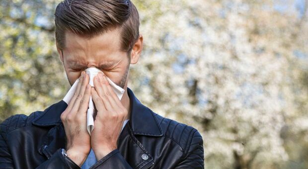 Allergie graminacee e influenza, i sintomi per non confondersi: sono i bimbi i più colpiti dal virus stagionale