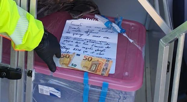 La lettera di scuse e i 100 euro lasciati da chi ha abbandonato le due gattine a Pordenone