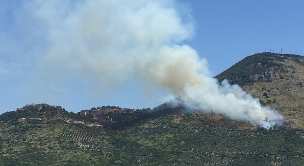 Uliveti e macchia mediterranea messa a fuoco dai piromani da qualche ora.