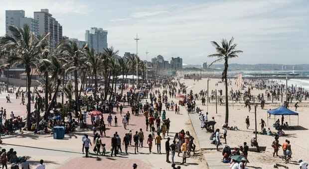 immagine Omicron, Sudafrica supera picco senza aumento morti. Il virus rallenta in Germania e est Europa