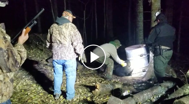 Orso per due giorni con la testa intrappolata in un barile: i cacciatori lo salvano così VIDEO