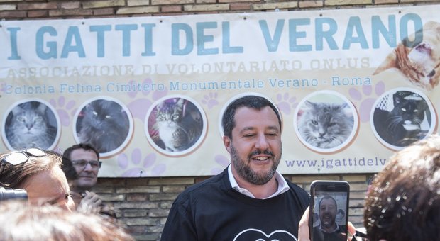 Salvini l'animalista e la nuova casella di posta del Viminale contro i maltrattamenti