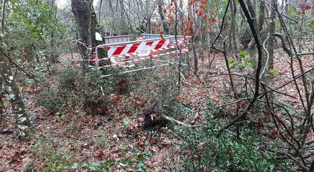 Albano, bomba della seconda guerra mondiale ritrovata da un boscaiolo sotto le foglie