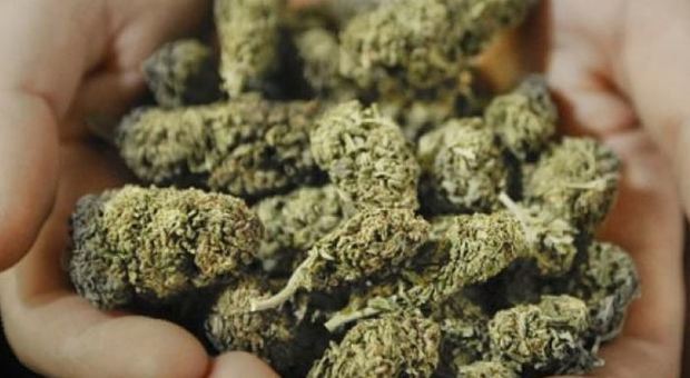 55 grammi di marijuana sul comodino della camera da letto: arrestato