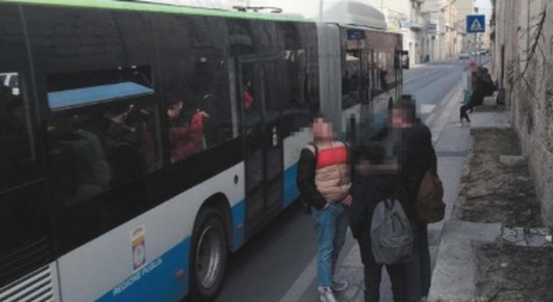Senza cinture e al cellulare: multe ai conducenti dei bus