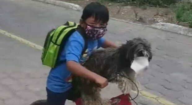 Bambino mette la mascherina al suo cagnolino prima di fare un giro in bicicletta - VIDEO