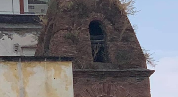 Napoli, il campanile della Pietrasanta invaso da arbusti ed erbacce: «Potrebbe crollare tutto»