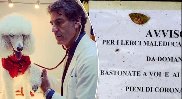 Roma, striscione choc: «Bastonate a gattari e gatti col coronavirus». Il dottor Coccia: «Follie senza evidenza scientifica»