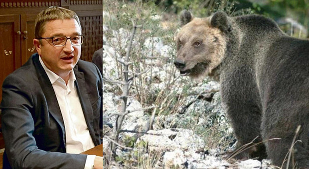 Maurizio Fugatti e un orso