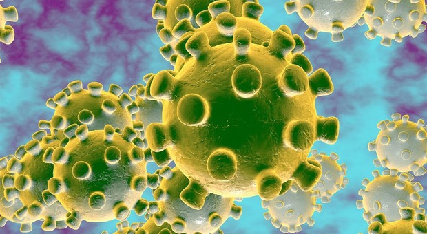 Studio rivela: «Il virus può restare nella saliva e nelle feci dei pazienti guariti»