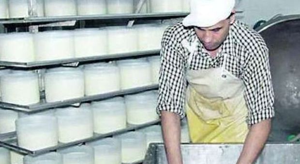 Export, la sorpresa Tuscia: nei primi sei mesi incrementi record nell’agroalimentare, volano i latticini