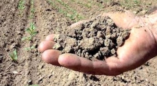 APPELLO La Cia invita a comprare italiano per sostenere l'agricoltura colpita dalla siccità