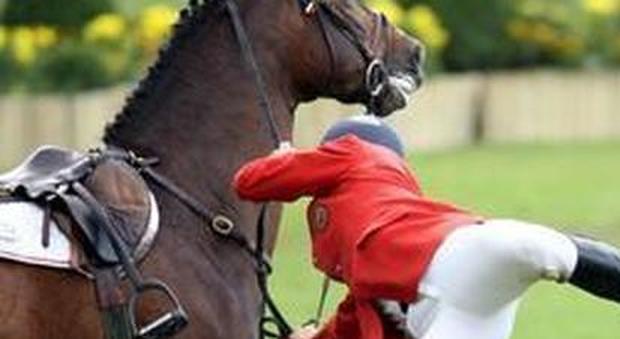 Calpestata dal cavallo in maneggio Ragazzina di 13 anni in fin di vita