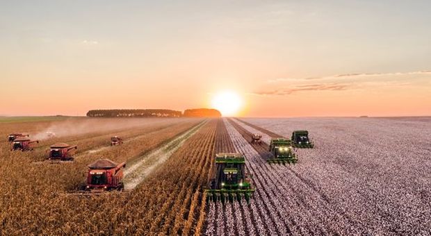 Clima, agricoltura settore più a rischio da cambiamenti meteo