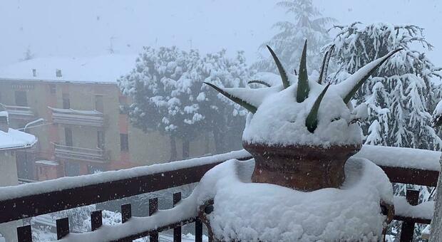 Effetto Burian sulla provincia di Macerata. neve e scuole chiuse in molti centri