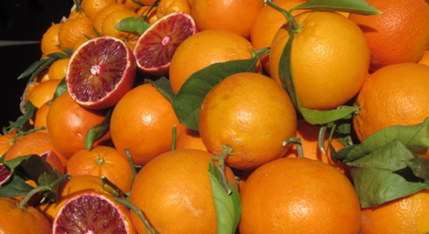 Propone arance, falso fruttivendolo ruba 550 euro all'anziano cliente