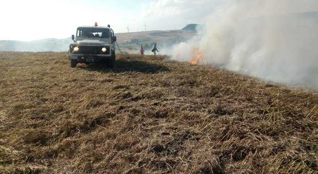 In fiamme le campagne dell'Alta Irpinia, fronte di fuoco di oltre un chilometro
