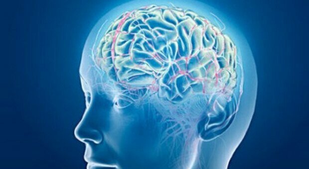 Il Covid fa danni anche al cervello. Uno studio rivela gli effetti su memoria, sonno e umore
