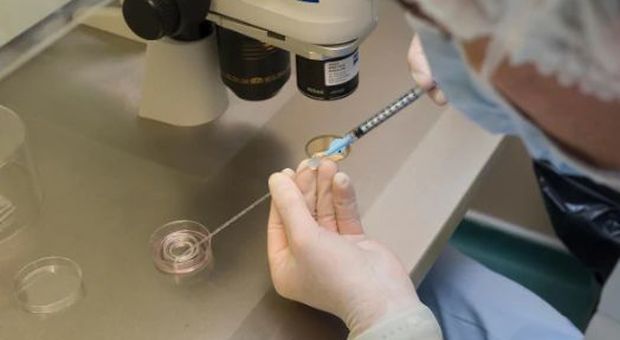 Ginecologo mette incinta decine di pazienti a loro insaputa col suo sperma