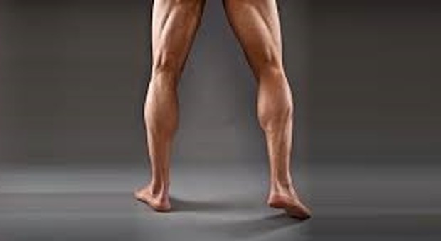 Le gambe lunghe e ben proporzionate degli uomini seducono le donne