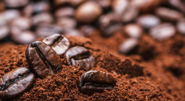 Bere caffè allunga la vita e rende longevi: "Riduce il rischio di morte"