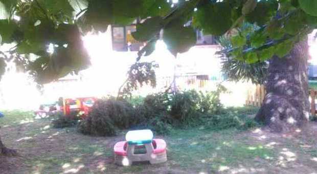 Ramo si schianta sui giochi dei bimbi nel giardino dell'asilo nido