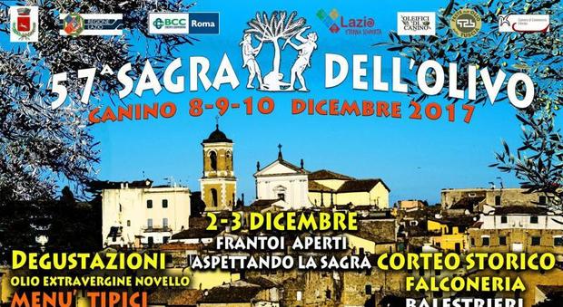 Sagra dell'olivo e mercatini di Natale: nel week-end eventi a Canino, Corchiano e Alatri