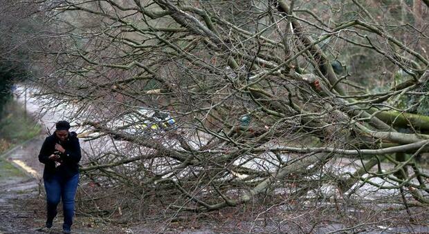 La tempesta Arwen mette in ginocchio il Regno Unito: 66 mila case senza elettricità e strage di cuccioli di foca